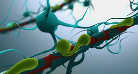 人体细胞医学动画  MG动画