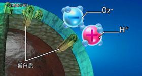 夏普科技产品演示  MG动画